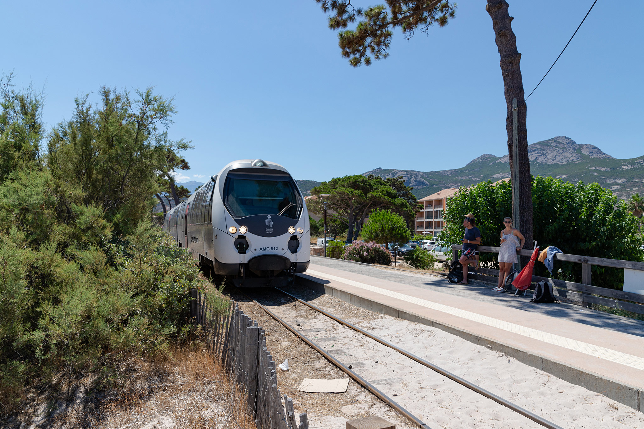 Calvi